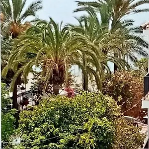  Appartamento Old Town